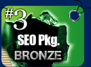 1 Seo Packages