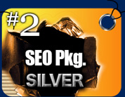 1 Seo Package